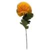 Chryzantema A5338