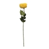 Chryzantema A5339