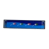 Harmonijka ustna NT0907