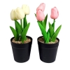 Tulipan 3 szt w doniczce YS48-8069-3