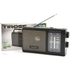 Radio Tiross TS457