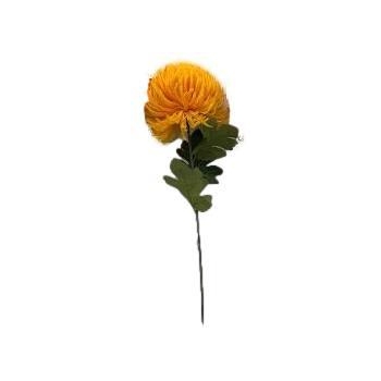 Chryzantema A5338