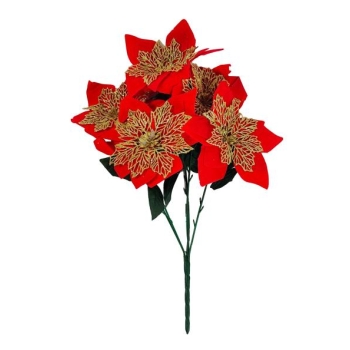 Bukiet 5 kwiatów - Gwiazda betlejemska A5272