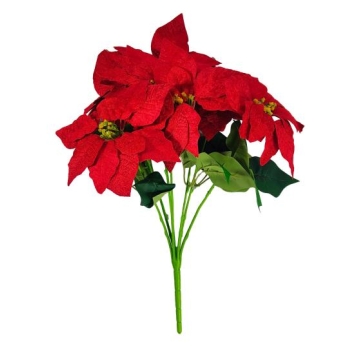 Bukiet 7 kwiatów MH052 - Gwiazda Betlejemska