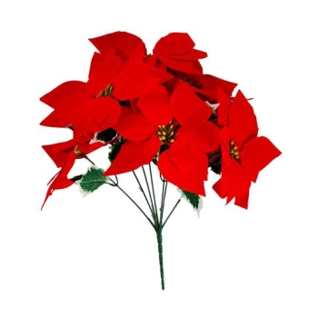 Bukiet 7 kwiatów MH045 - Gwiazda Betlejemska