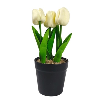Tulipan 3 szt w doniczce YS48-8069-3 (biały)