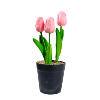 Tulipan 3 szt w doniczce YS48-8069-3 (różowy)