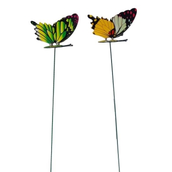 Pik - Motyl