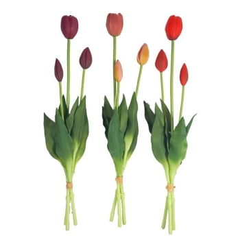 Tulipan 3 szt HB44C1.18-10