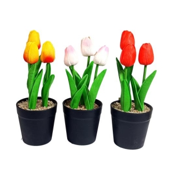 Tulipan 3 szt w doniczce YS48-8069-3