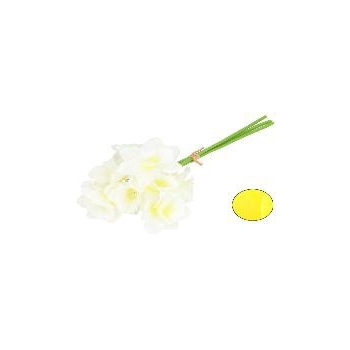 Bukiet żonkili TG52CT12-115