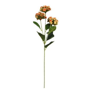 Kwiat Kalanchoe MZ007D (pomarańczowy)