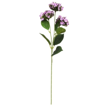 Kwiat Kalanchoe MZ007E (fioletowy)