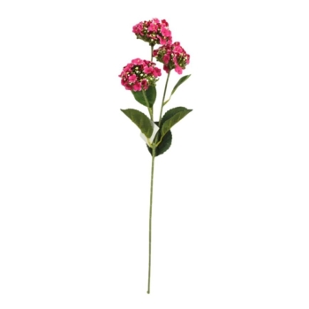 Kwiat Kalanchoe MZ007C (różowy)
