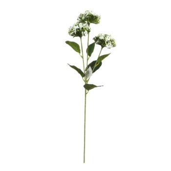 Kwiat Kalanchoe MZ007A (biały)