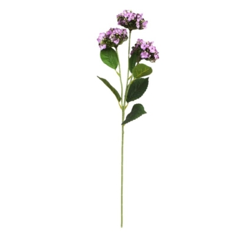 Kwiat Kalanchoe MZ007B (jasny fiolet)
