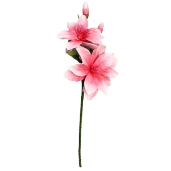Kwiat piankowy - Magnolia MP106ZL (różowy)