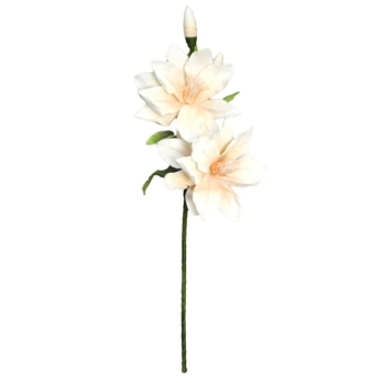 Kwiat piankowy - Magnolia MP106ZK (kremowy)