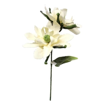 Kwiat piankowy - Magnolia GB563ZD (kremowy)