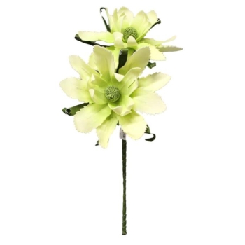 Kwiat piankowy - Magnolia GB563ZB (zielony)