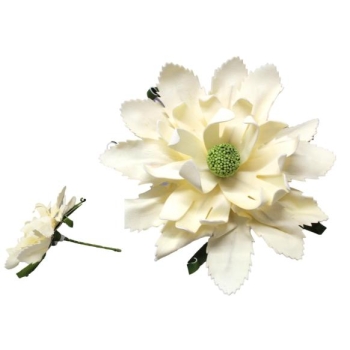 Kwiat piankowy - Magnolia GB562ZD (kremowy)