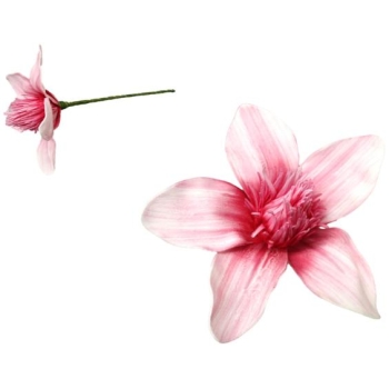 Kwiat piankowy - Magnolia MP135ZL (różowy)
