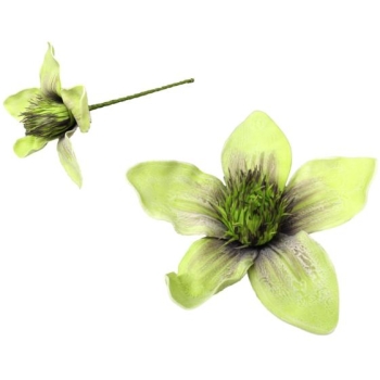 Kwiat piankowy - Magnolia MP135ZI (zielony)
