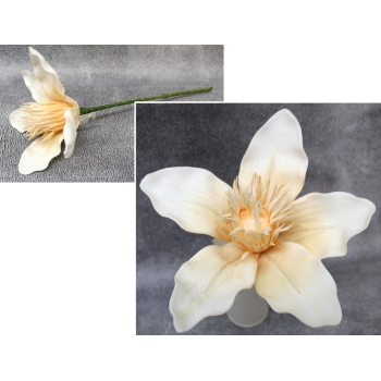 Kwiat piankowy - Magnolia MP135ZK (kremowy)