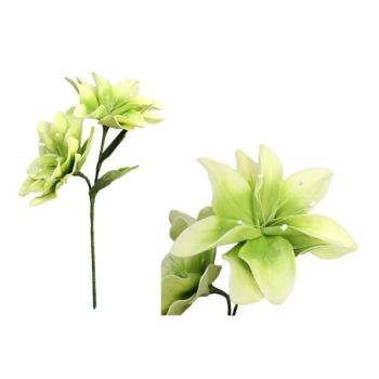 Kwiat piankowy GB551ZB - Magnolia (zielona)