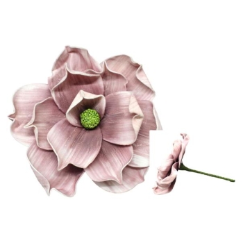 Kwiat piankowy - Magnolia GB559ZA (fioletowy)