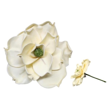 Kwiat piankowy - Magnolia GB559ZD (kremowy)