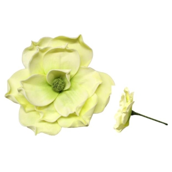 Kwiat piankowy - Magnolia GB559ZB (zielony)