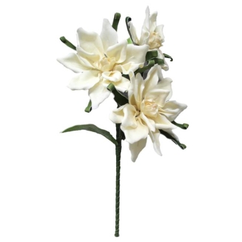 Kwiat piankowy - Magnolia GB558ZD (kremowy)