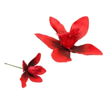 Kwiat piankowy MP135ZR - Magnolia (czerwony)