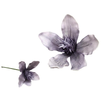 Kwiat piankowy MP135ZF - Magnolia (fioletowy)
