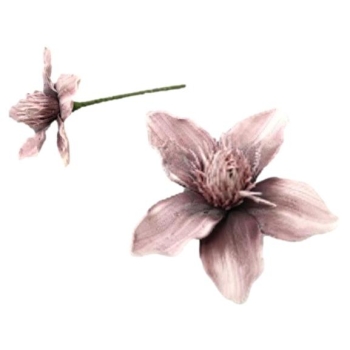 Kwiat piankowy MP135ZA - Magnolia (fioletowy)