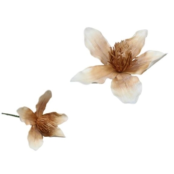 Kwiat piankowy MP135ZG - Magnolia (pomarańczowy)
