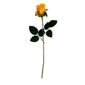 Róża WTJ2509A (żółta)