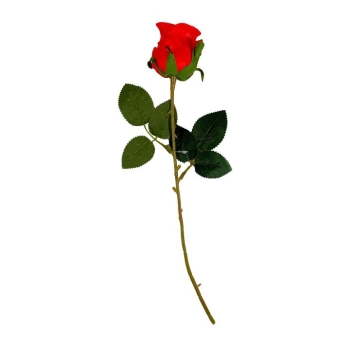 Róża WTJ2509D (czerwona)